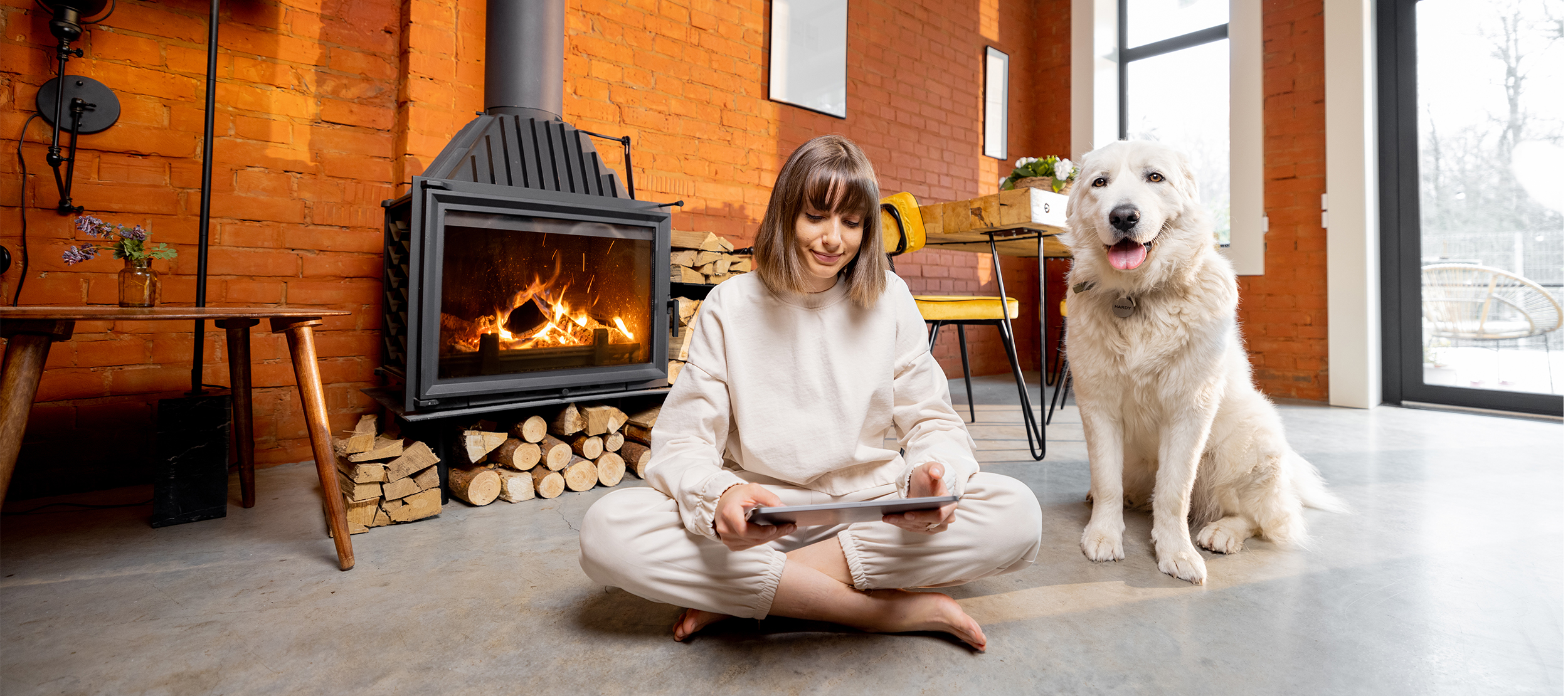 Fireplace-w-dog